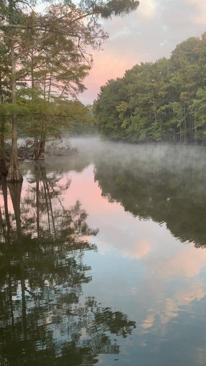 Backwater Jacks - It's 7 am. Just me and the birds. And a cup of coffee! - Campgrounds Near Me - Karnack, Texas