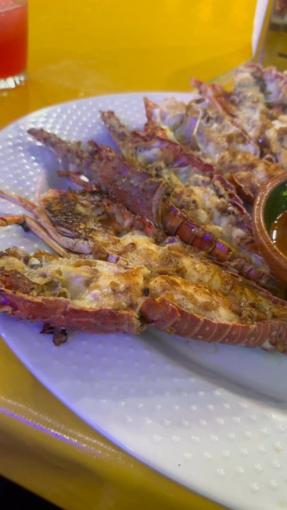 Calypso's - Grilled lobster. Tasted old - Seafood Near Me - Cancún, ROO