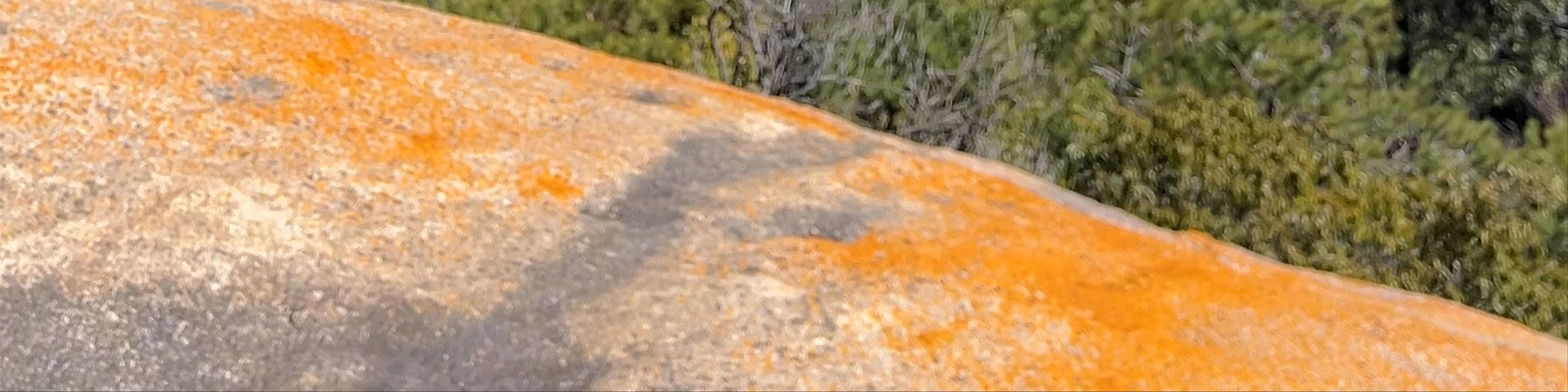 Cima del Monte Komagabayashi