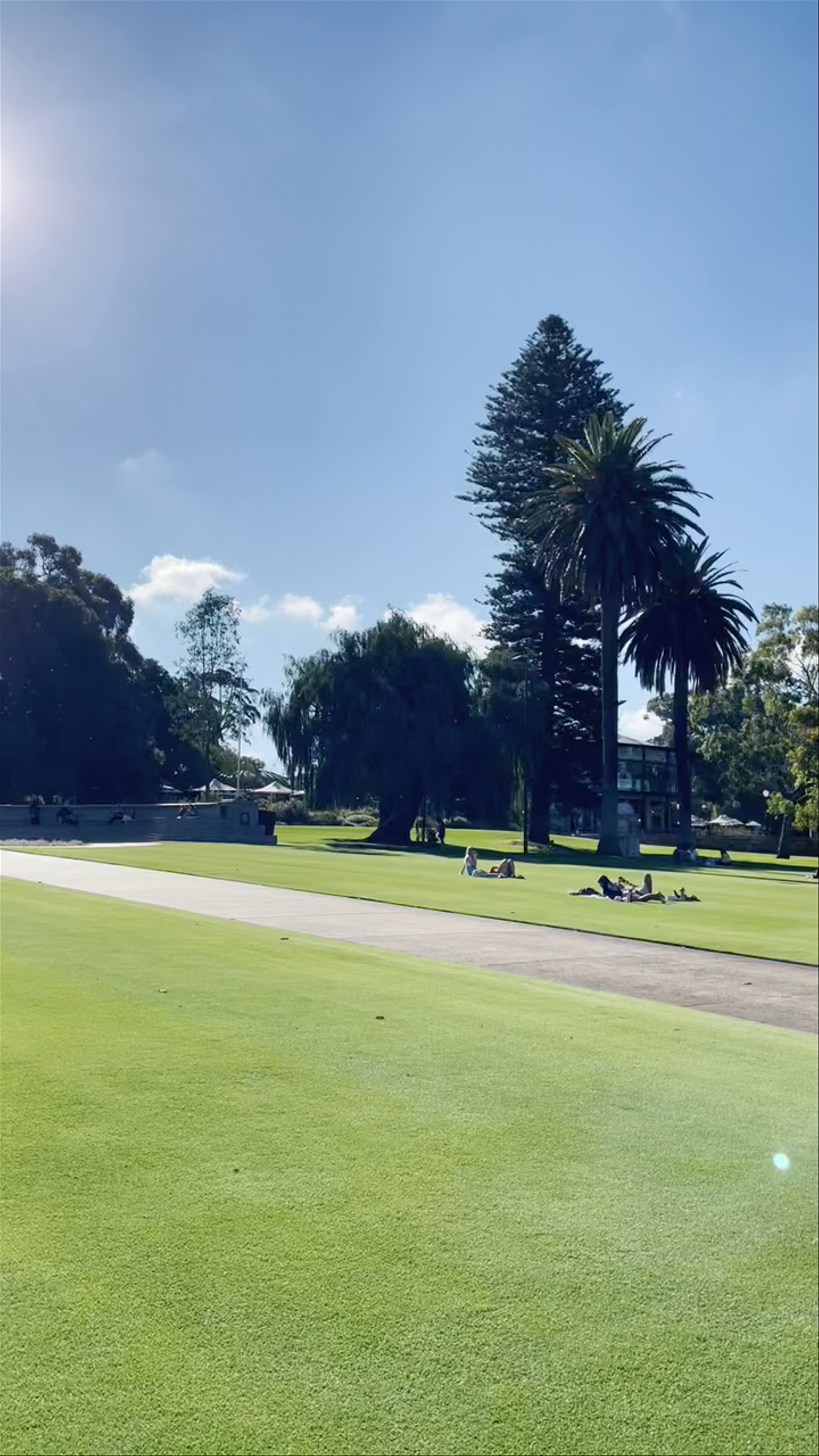 Kings Park and Botanic Garden: Oasis of Green Overlooking Perth
