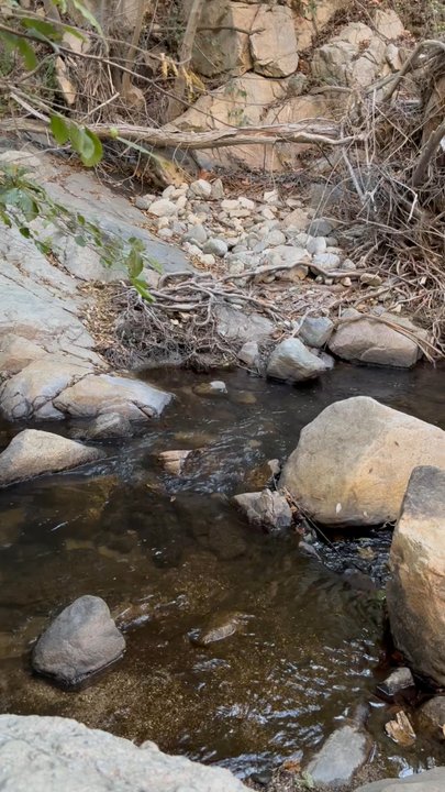 Gabrielino Trail - Hiking Near Me - Altadena, California