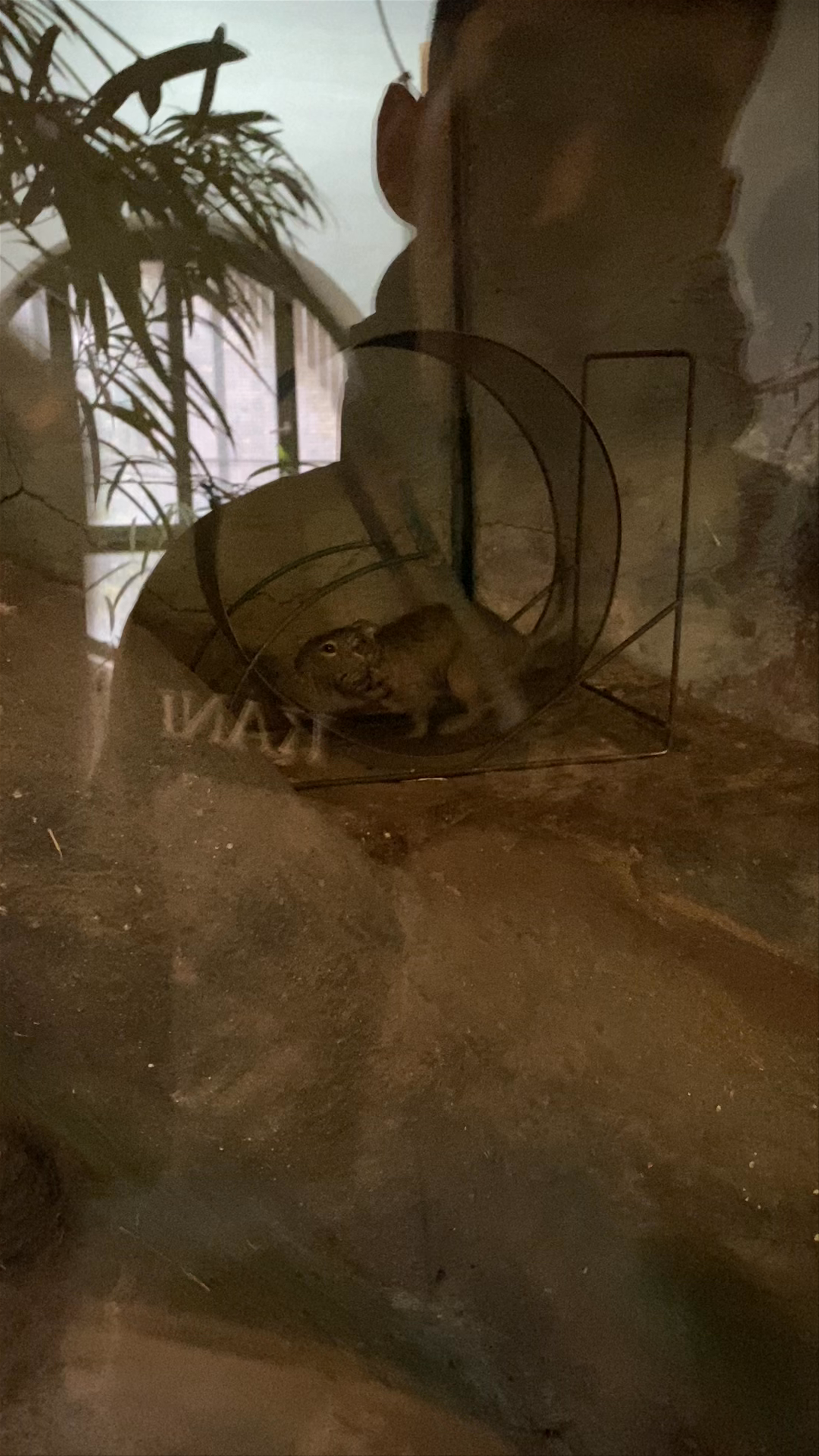 Budapest Zoo & Botanical Garden