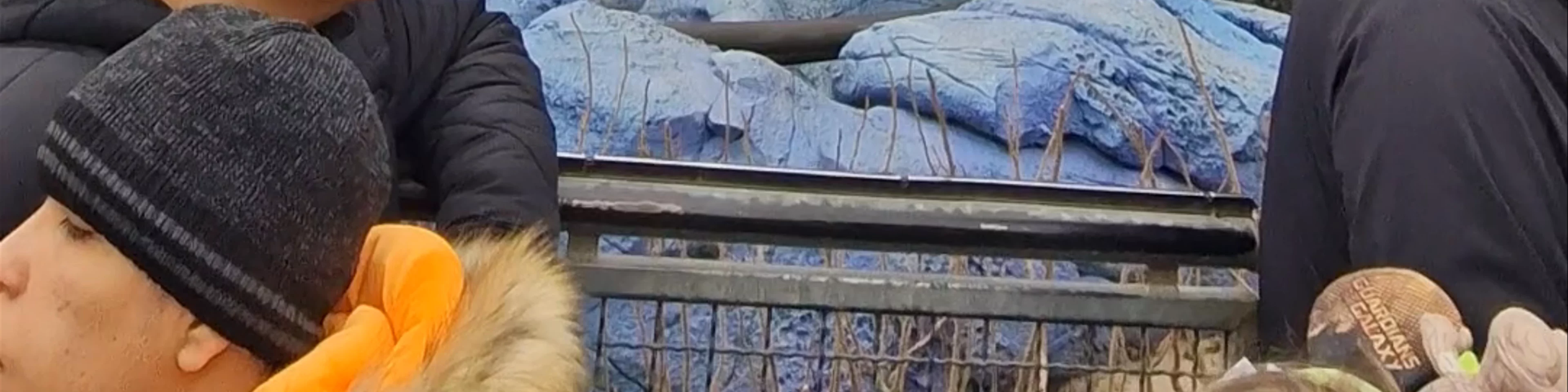 Crush's Coaster