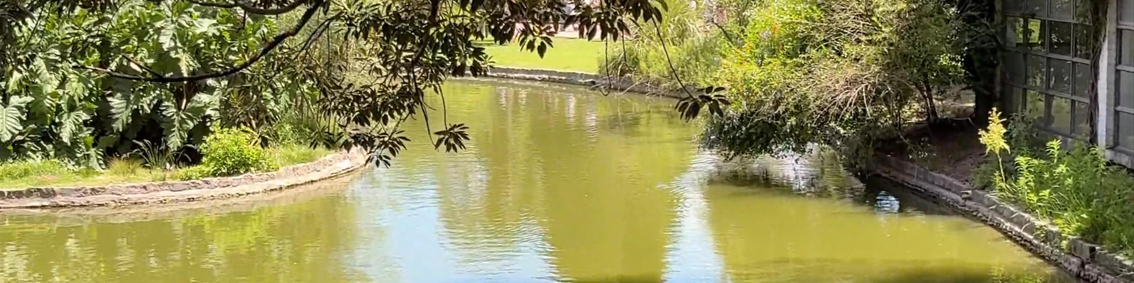 Lago Azara