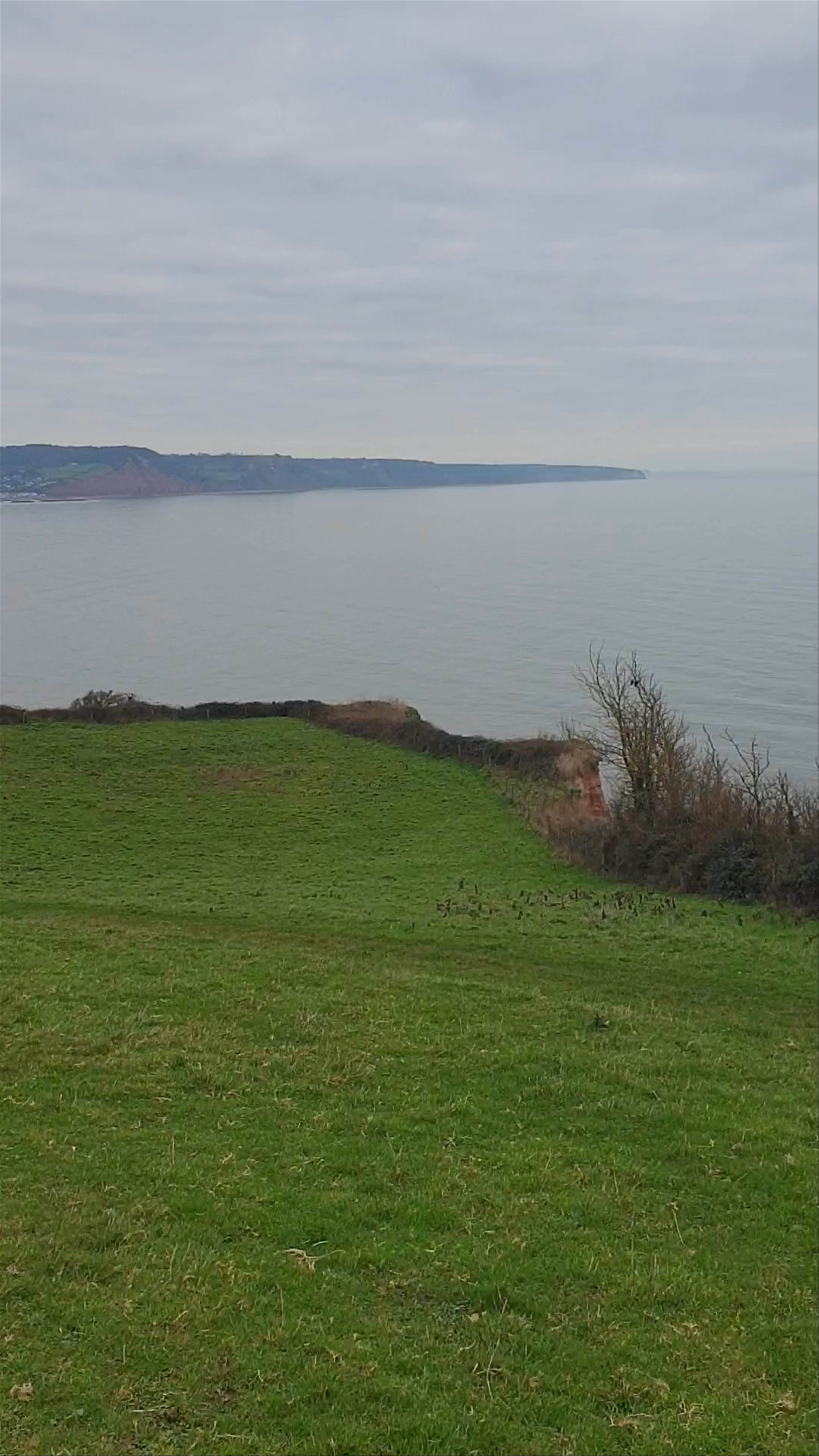 Ladram Bay Holiday Park