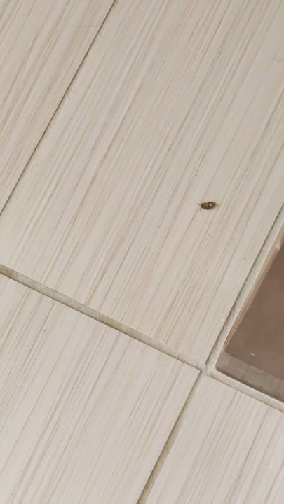 Courtyard by Marriott Southington - Bug infested hotel. Management does not care. They transferred me to another room also bug infested. I left and they charged my card. - Hotels Near Me - Southington, Connecticut