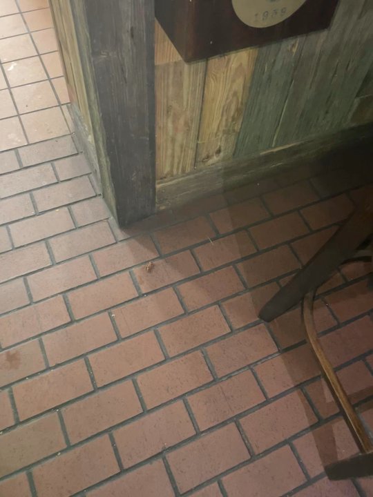 Flanigan’s - Seafood Near Me - Sunrise, Florida