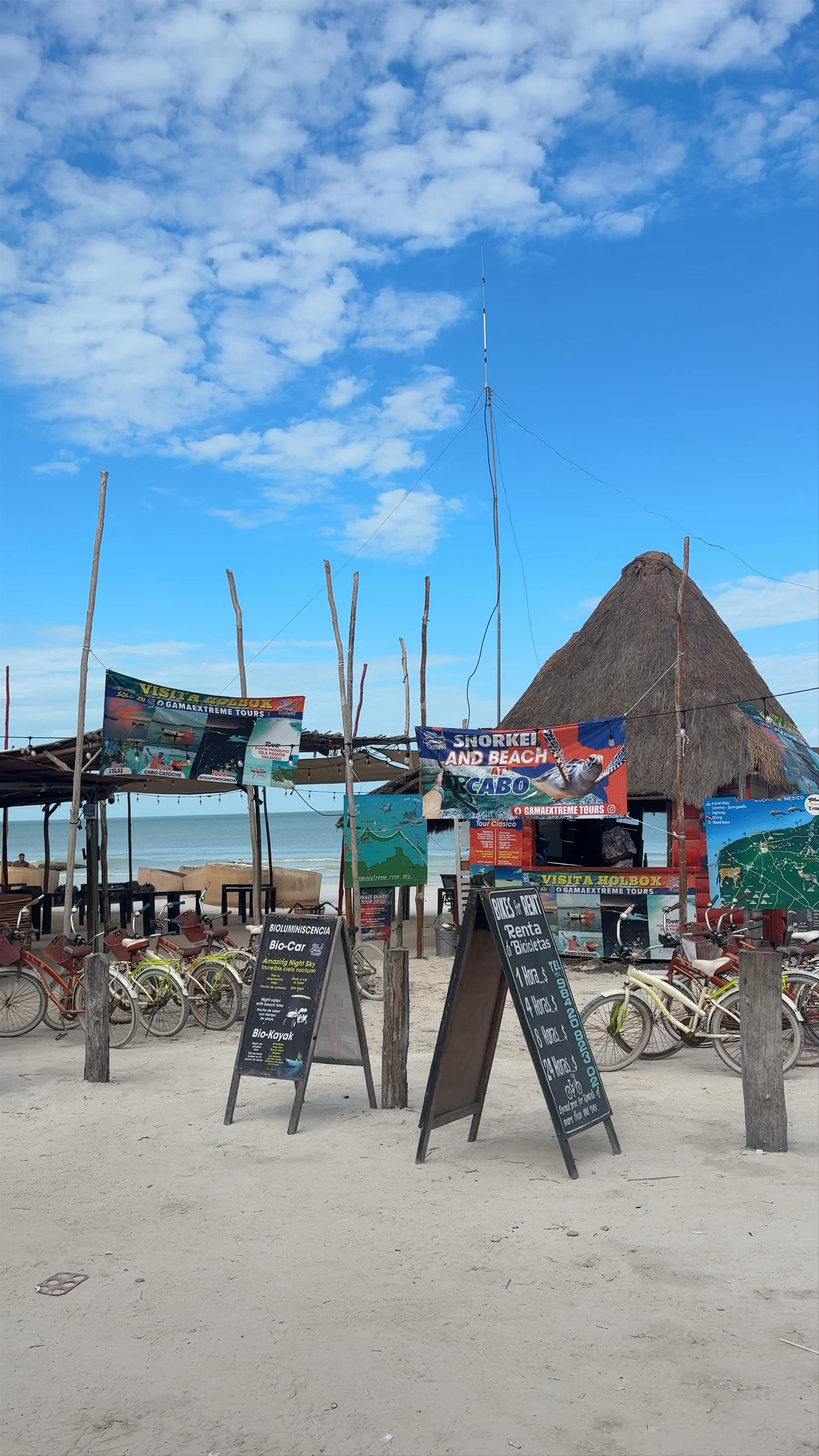 Yum Balam Flora and Fauna Protection Area: Untouched Coastal Beauty in Quintana Roo