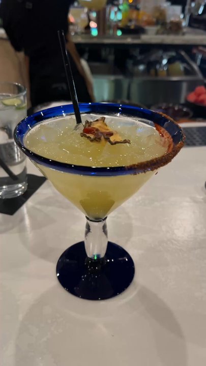 OLLIN COCINA & TEQUILA - Updated April 2026 - 61 Photos & 39 Reviews ...