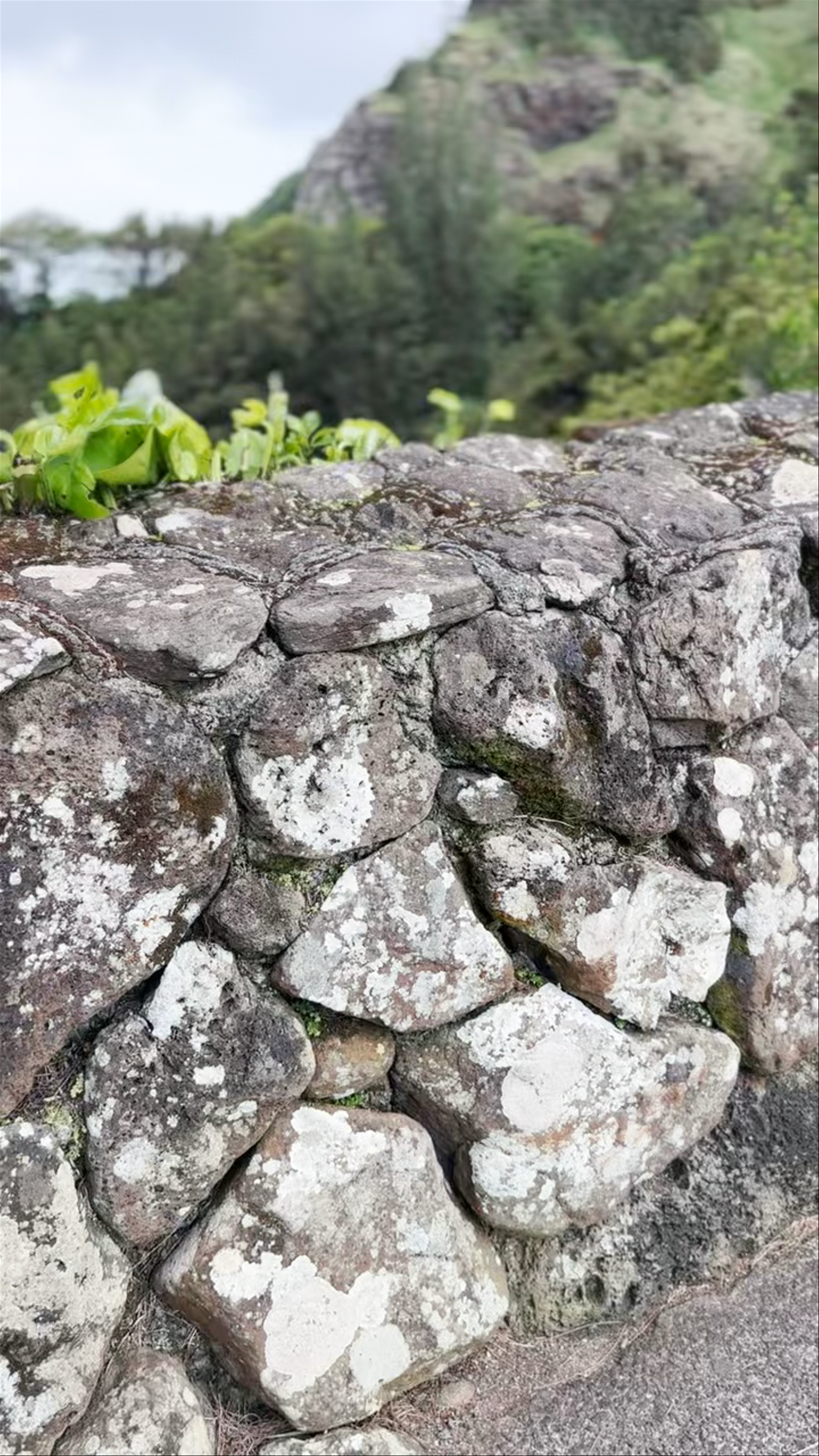Nu‘uanu Pali Lookout