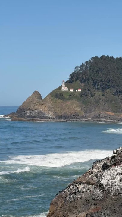Sea Lion Caves - Active Life Near Me - Florence, Oregon