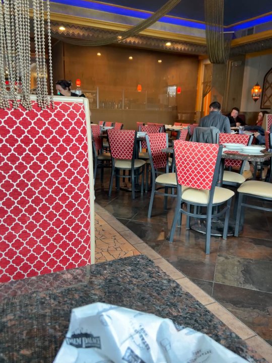Palm Palace - My waitress - Middle Eastern Near Me - Ann Arbor, Michigan