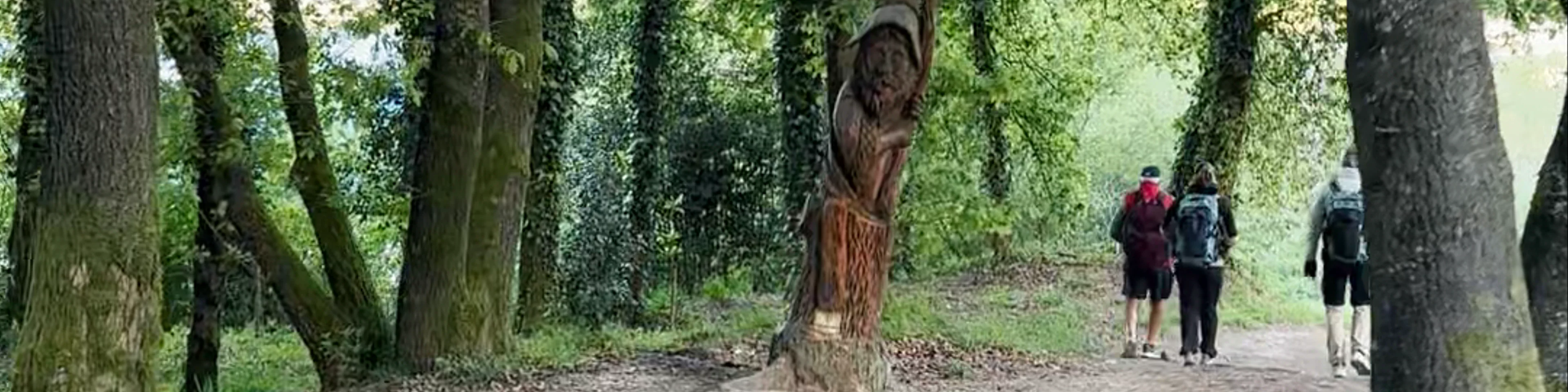 Carballeira con Esculturas de Madeira