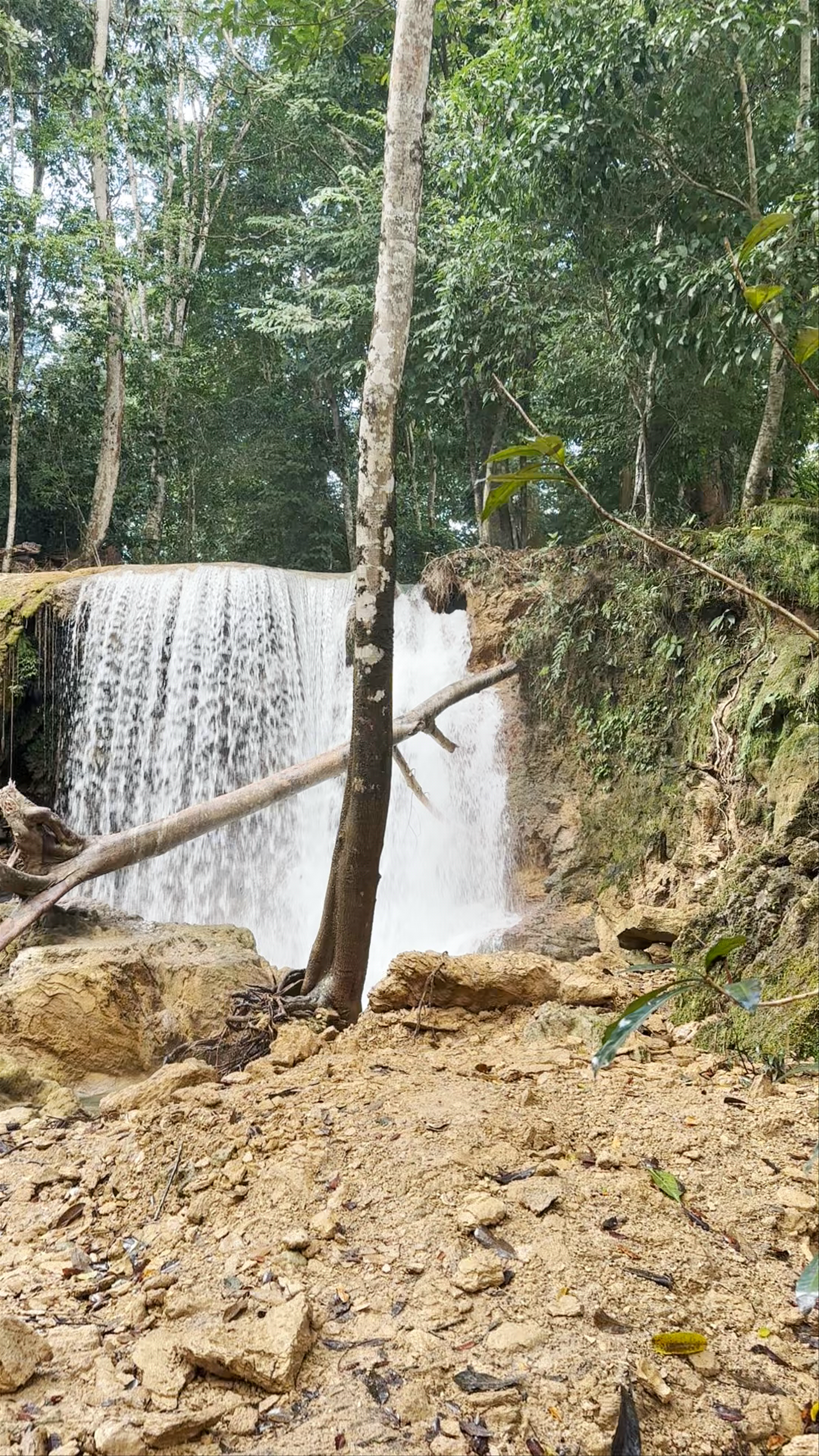 Cascadas Roberto Barrios: Mystical Waterfalls in Chiapas, Mexico