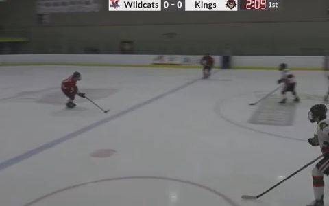 Eric Hanley: Stunning End-to-End Highlights with Valley Wildcats U18