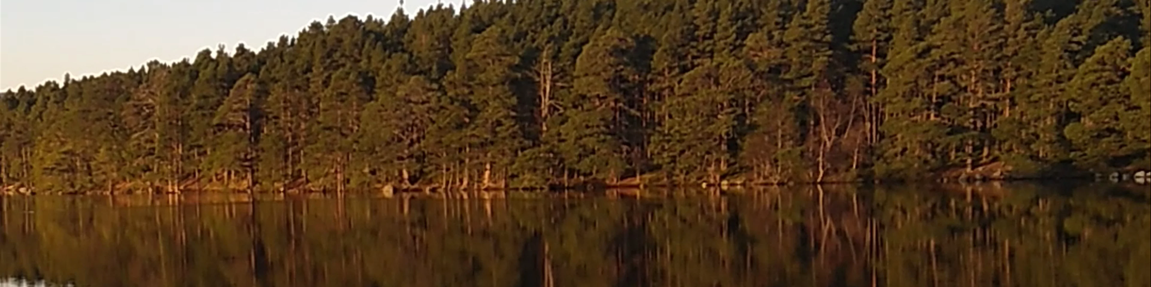 Loch Garten