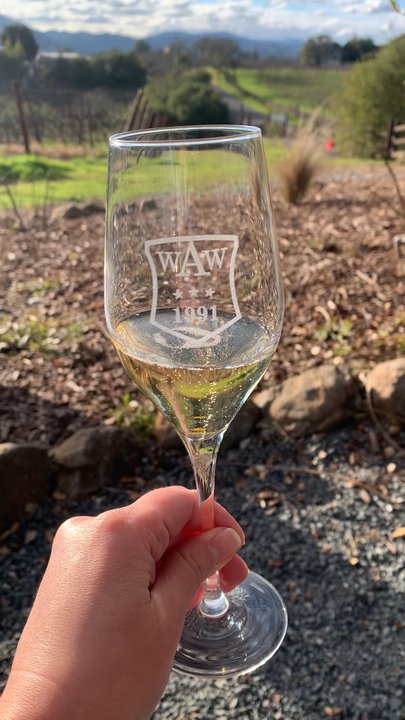 Mazzocco Sonoma - Wineries Near Me - Healdsburg, California