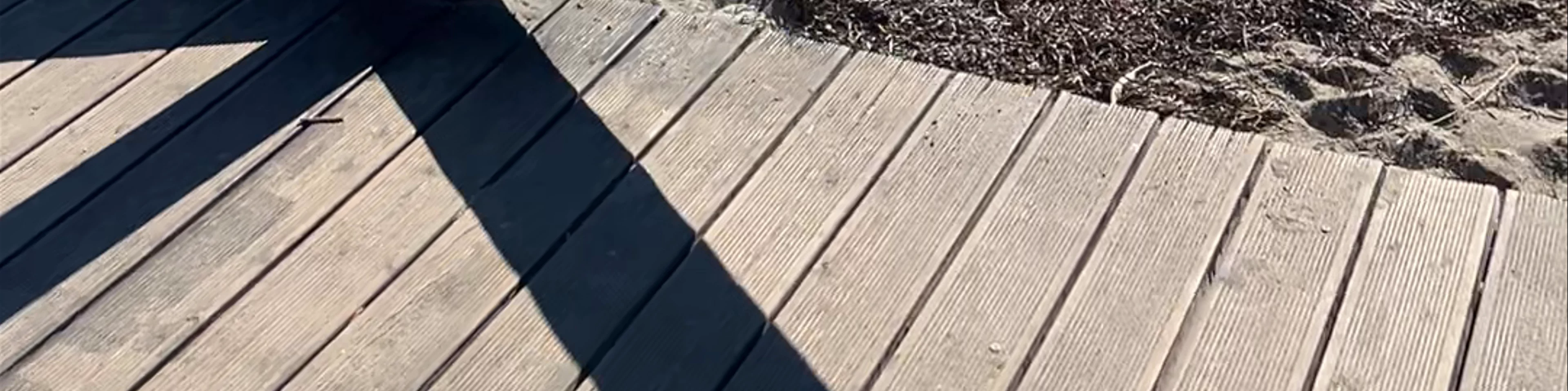 Pier