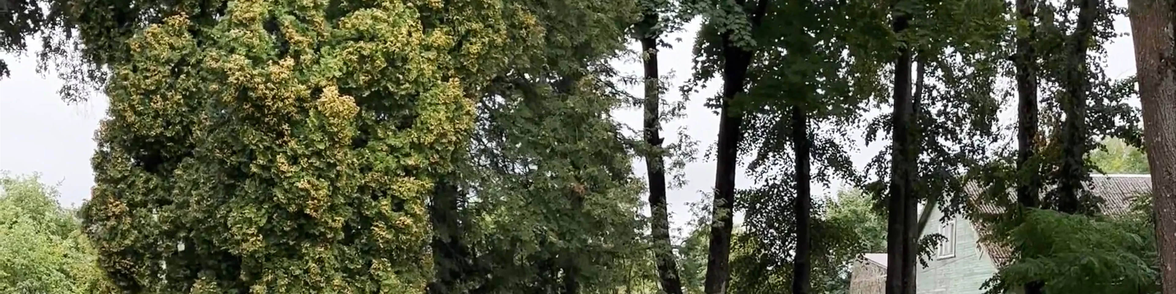 Strūklaka "Pieneņpūka"