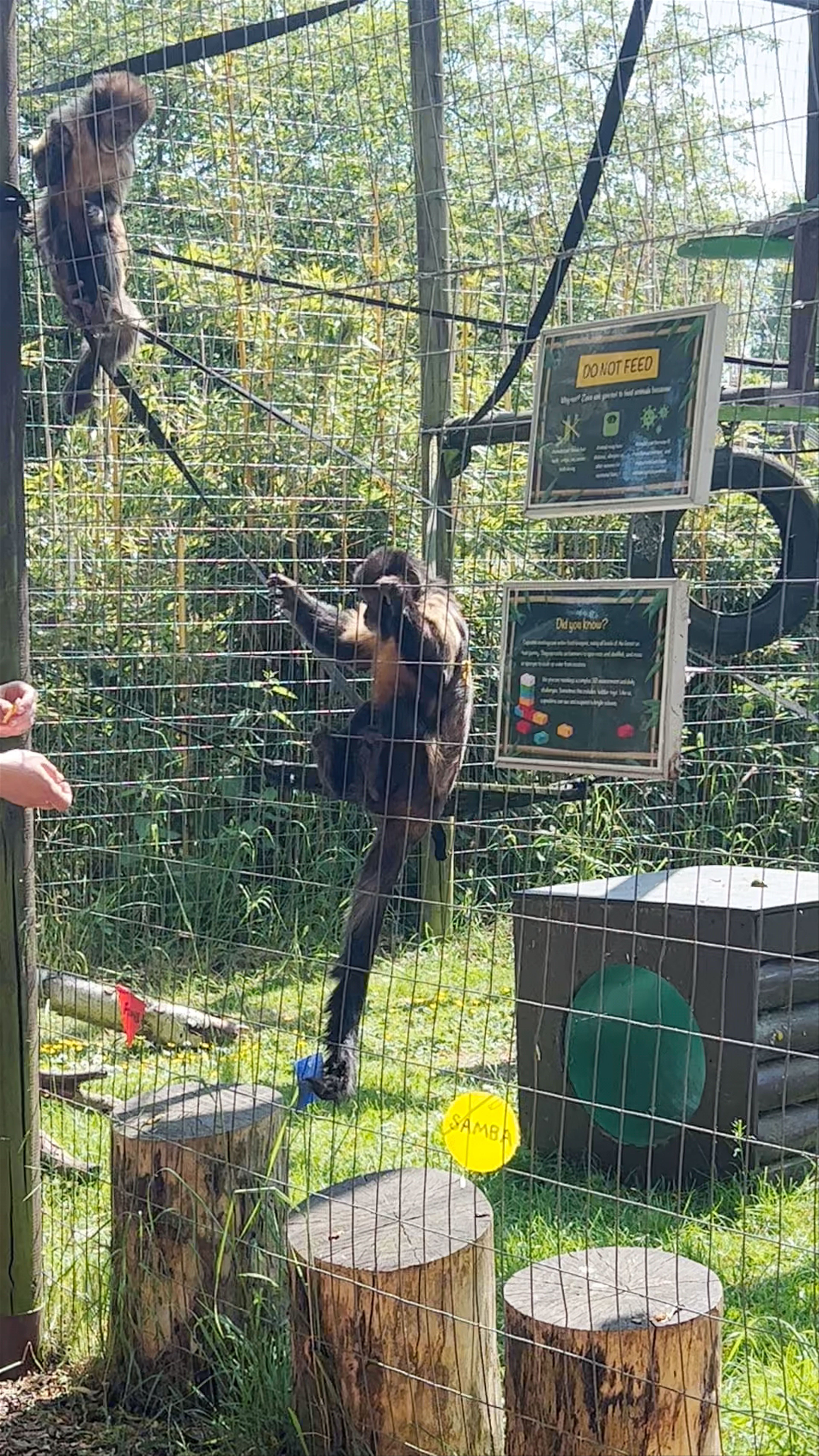 Shepreth Wildlife Park