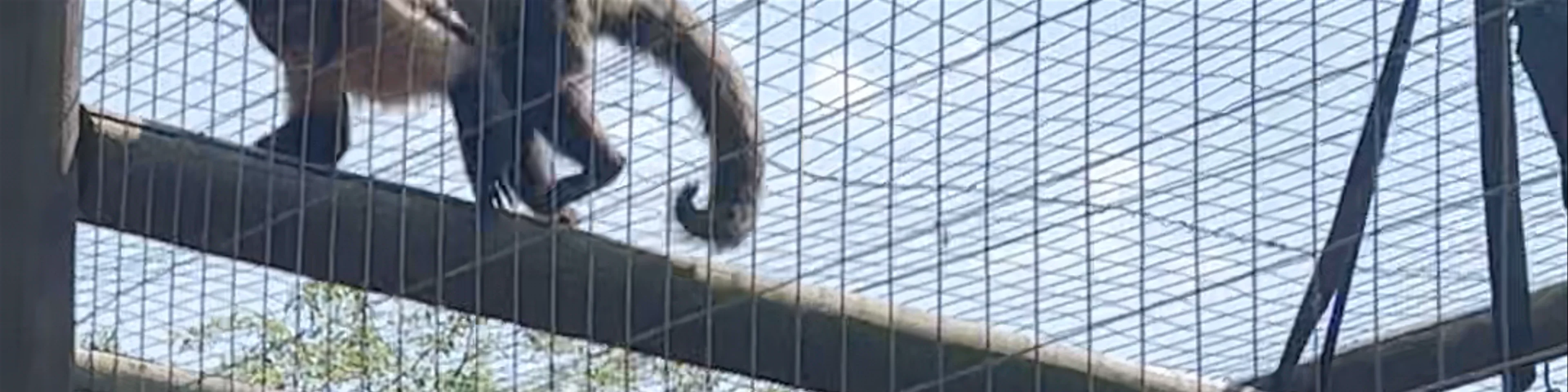 Shepreth Wildlife Park