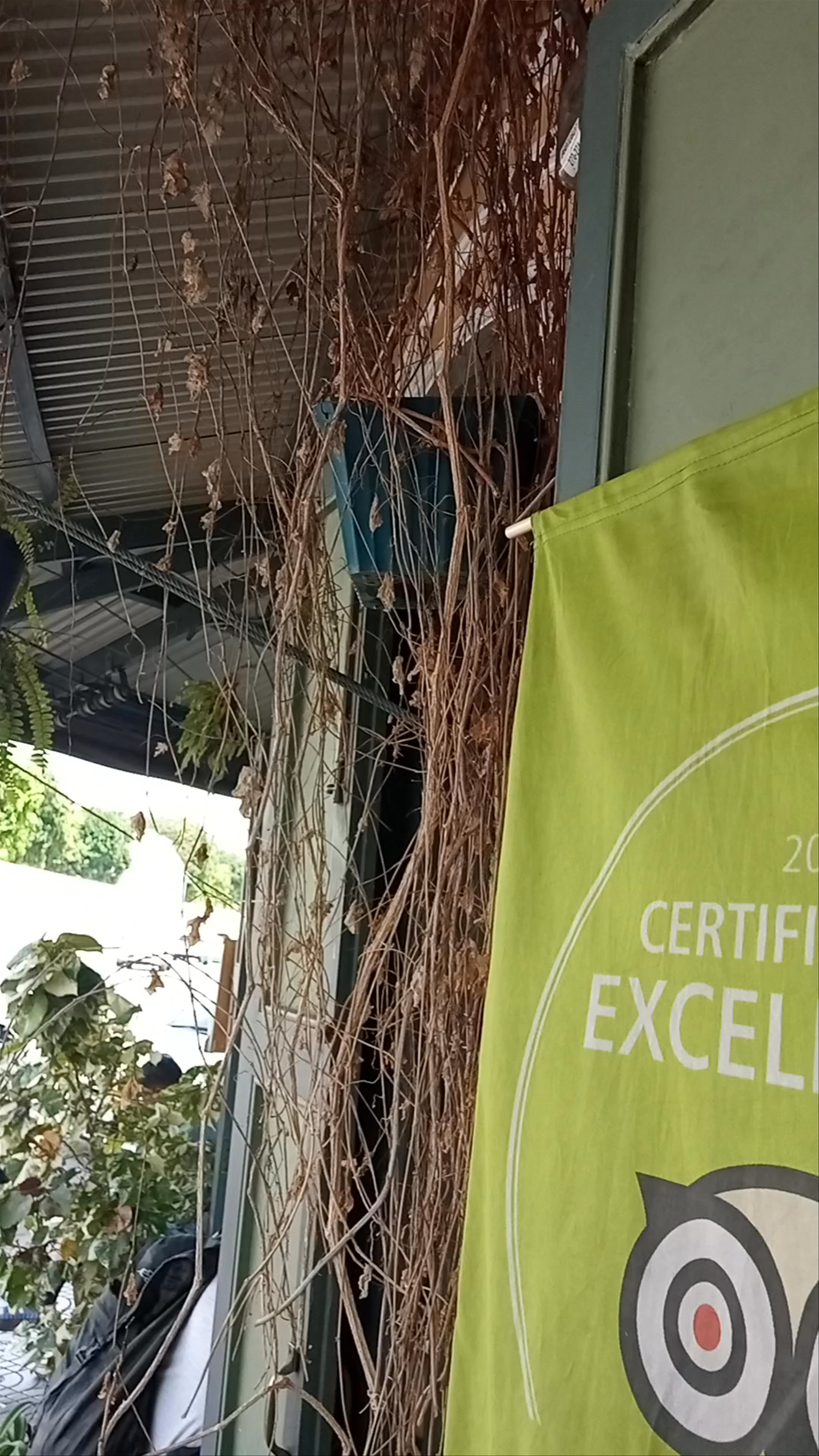 Pad Thai Kratong Thong