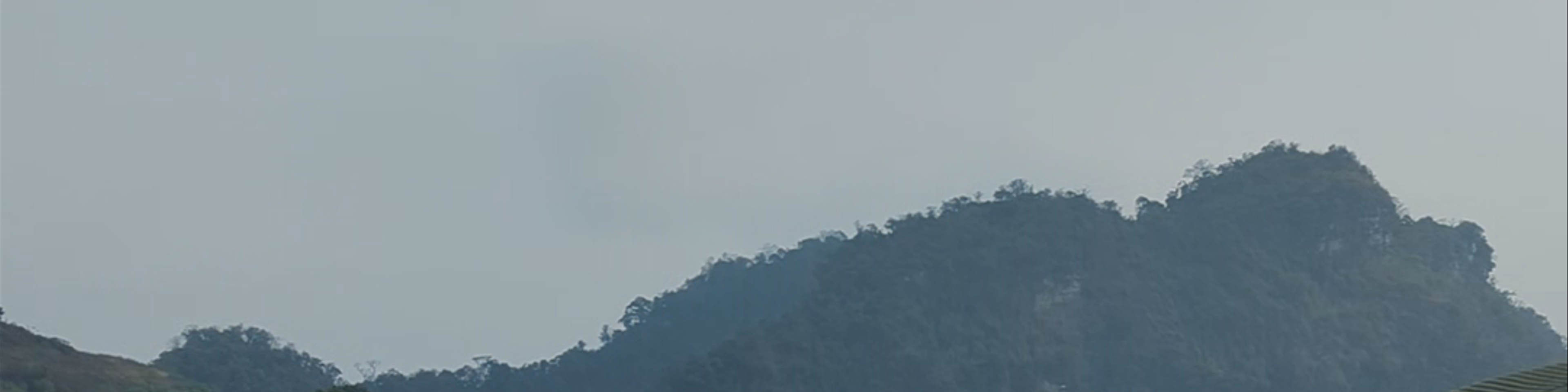 Mộc Châu