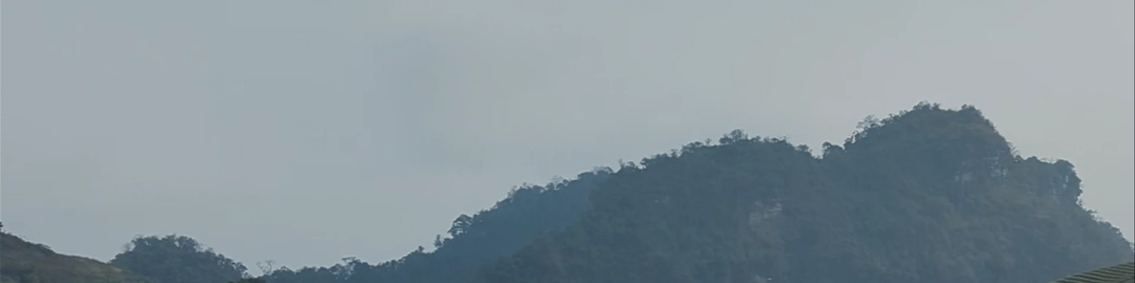 Đồi chè Trái Tim