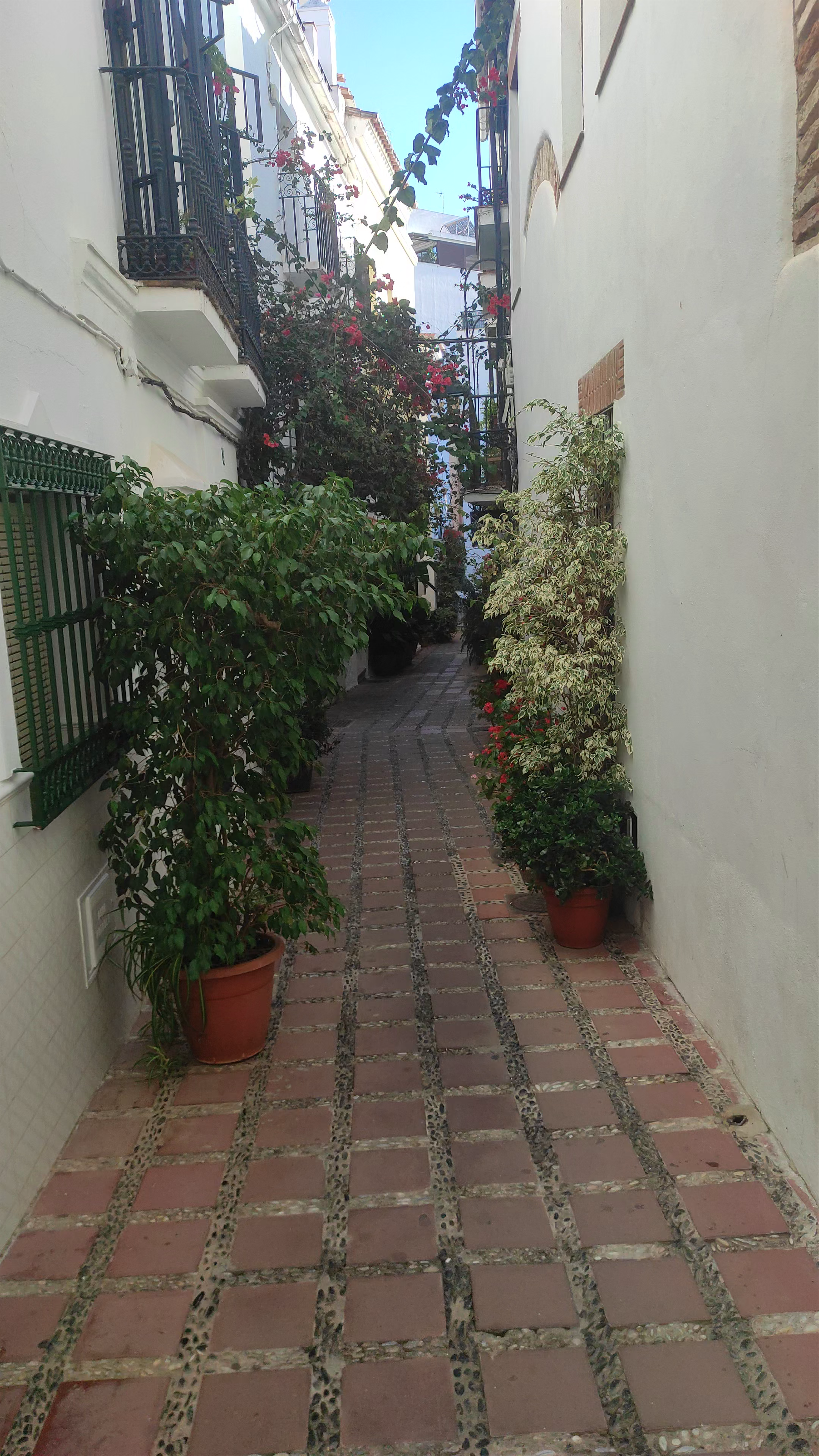 Charming Floral Alley in Calle Alderete, Marbella