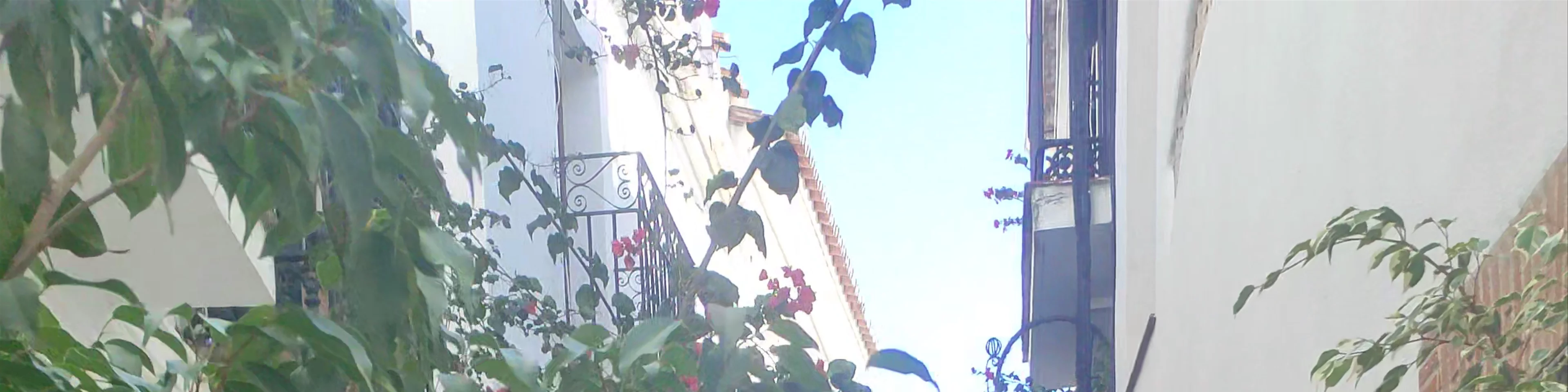 Calle Alderete