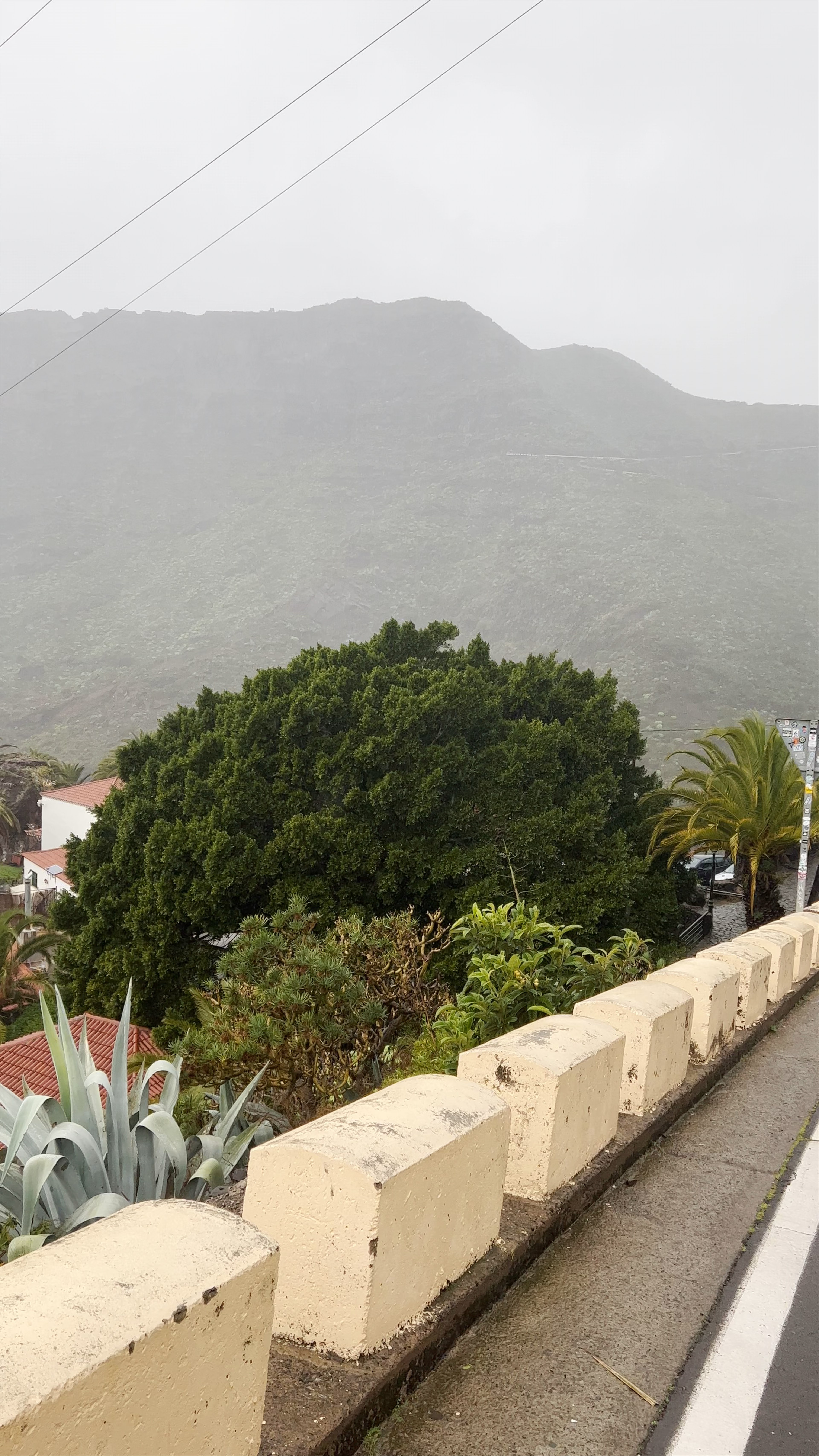 Masca Valley