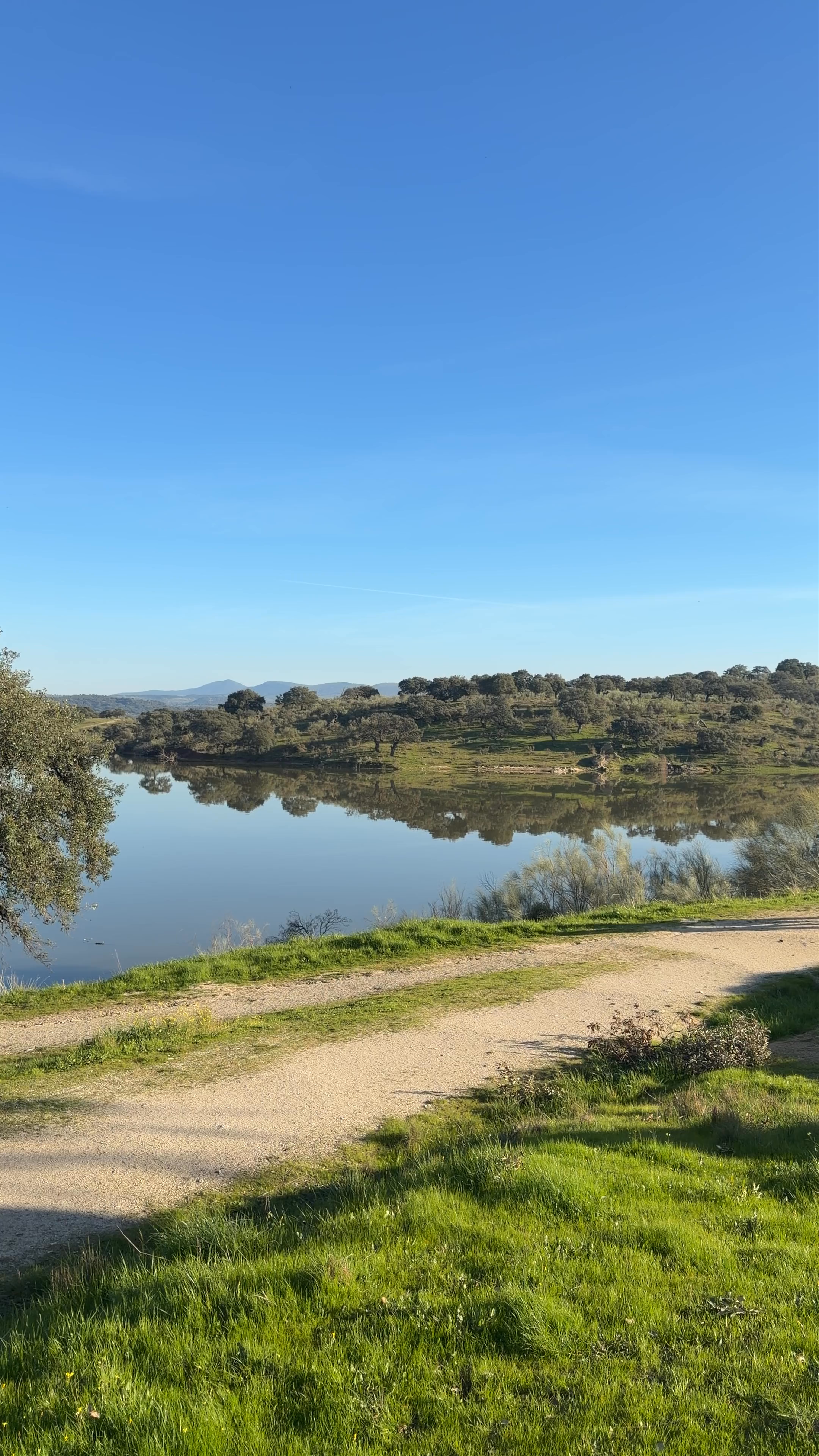 Templo romano de "Los Mármoles". Augustobriga.