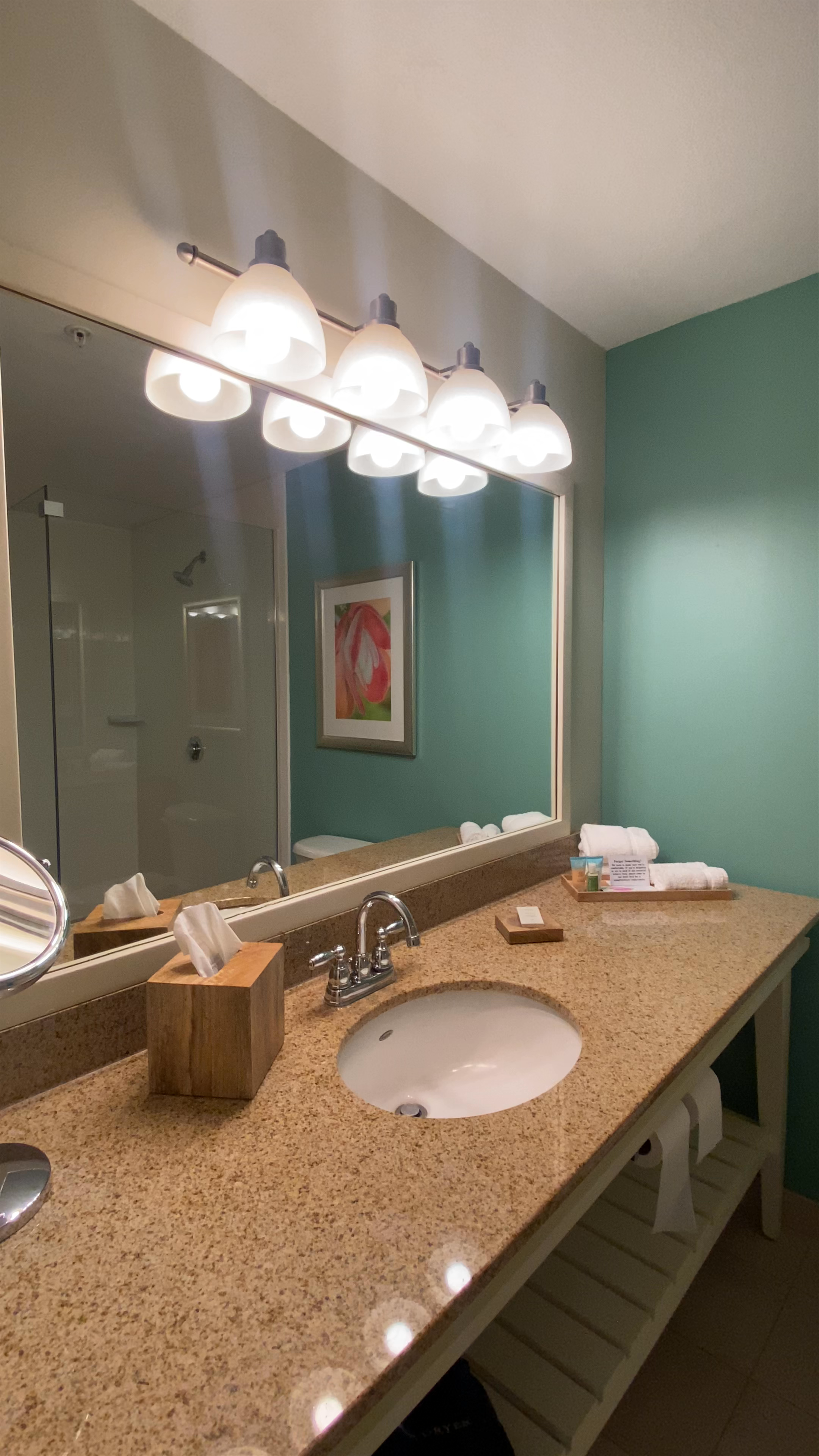 voco Sarasota by IHG Bathroom Tour