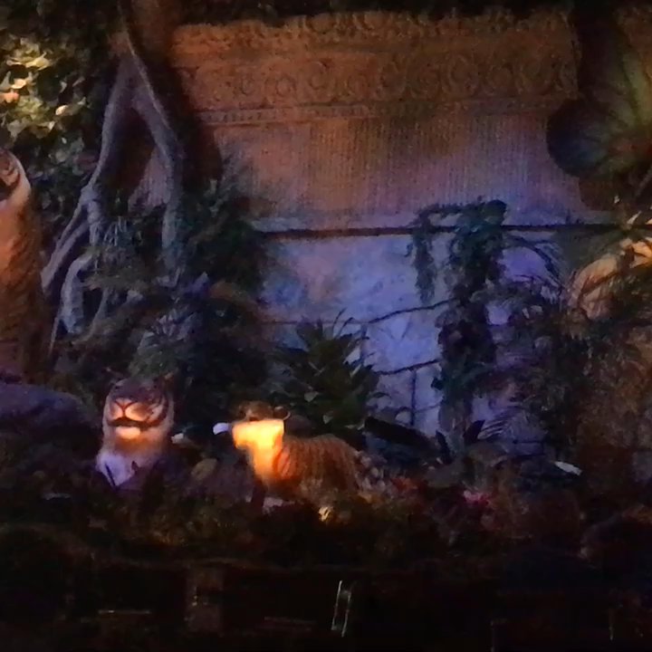 Rainforest Cafe - Cafes Near Me - Niagara Falls, New York