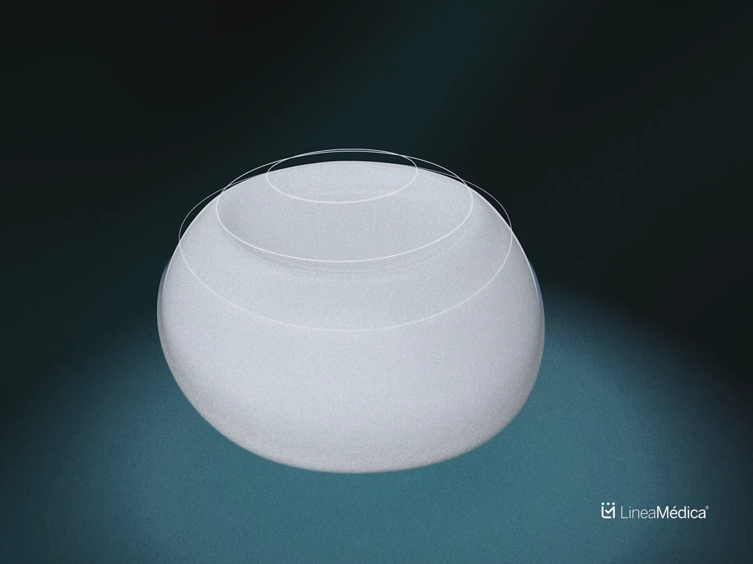 Film still from Light by Design by Feel Inc.