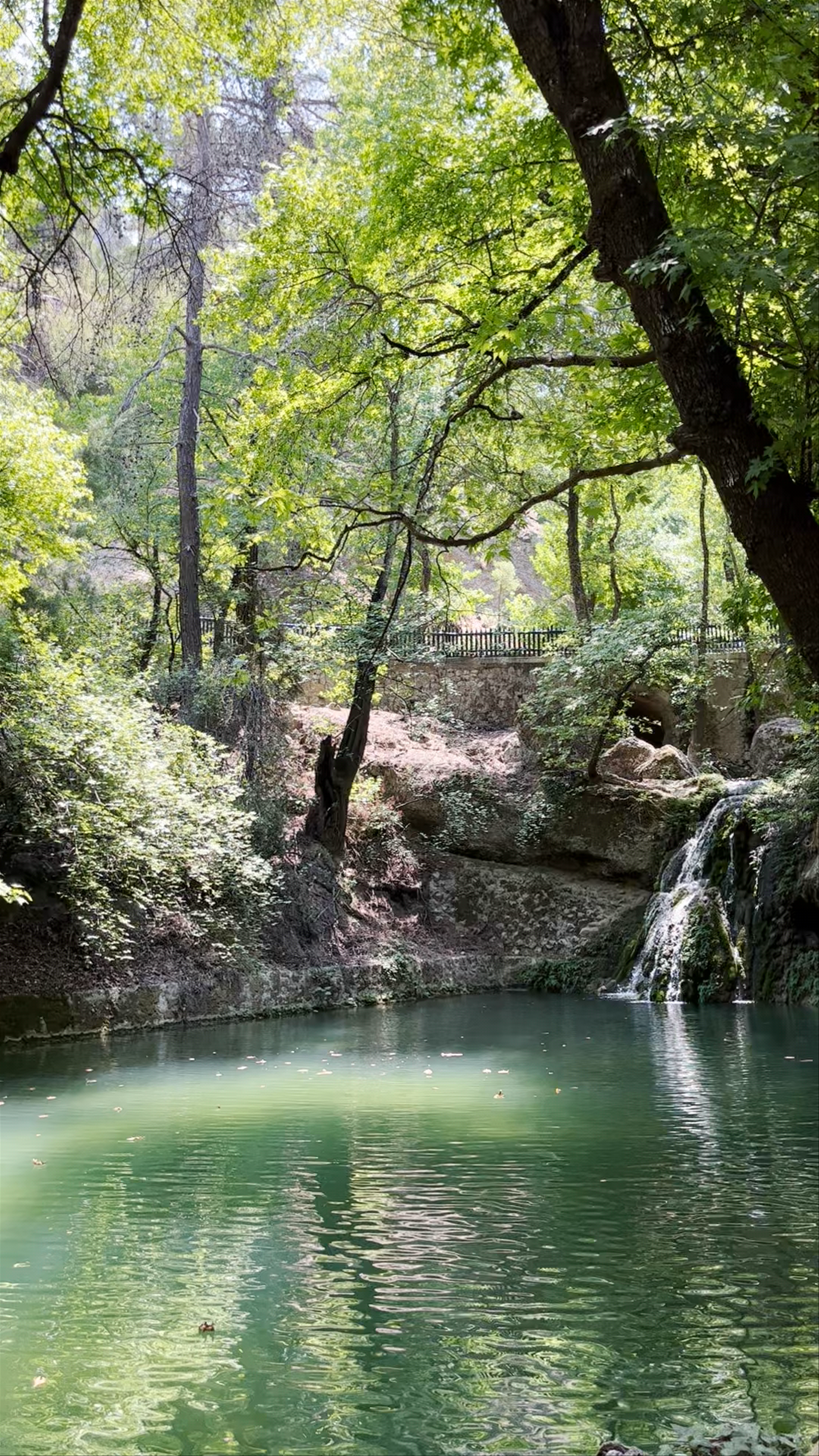 Butterflies Valley: A Lush Hidden Oasis in Rhodes, Greece