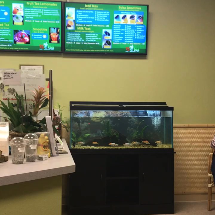 15 Tea - Cute hole in the wall place. Frequent buyer stamp card; by the visit not by the drink. - Coffee & Tea Near Me - Fresno, California