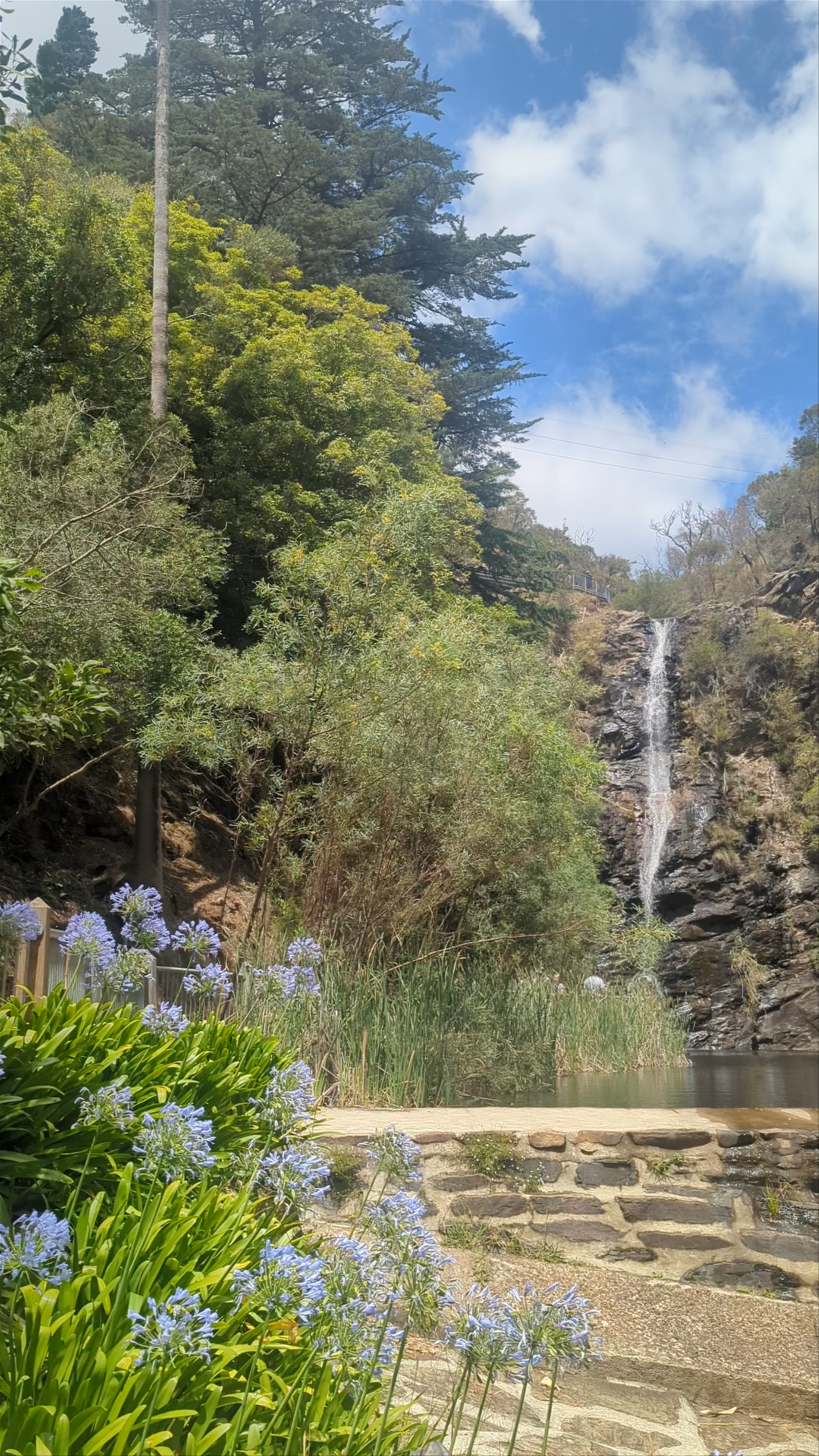 Waterfall Gully Adelaide Hills
