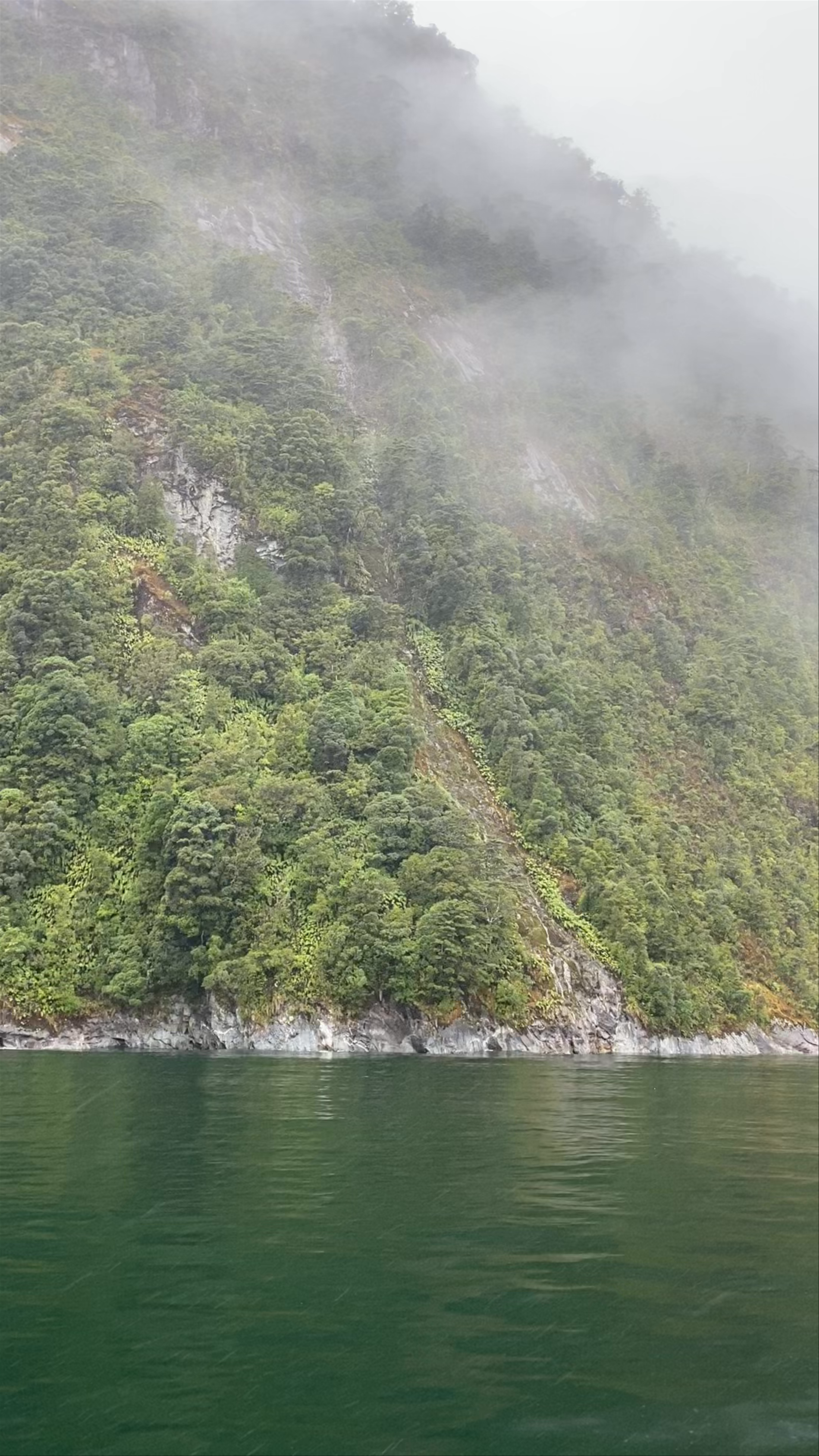 Bowen Falls at Milford Sound: Mystical Waterfall and Misty Fjord Journey