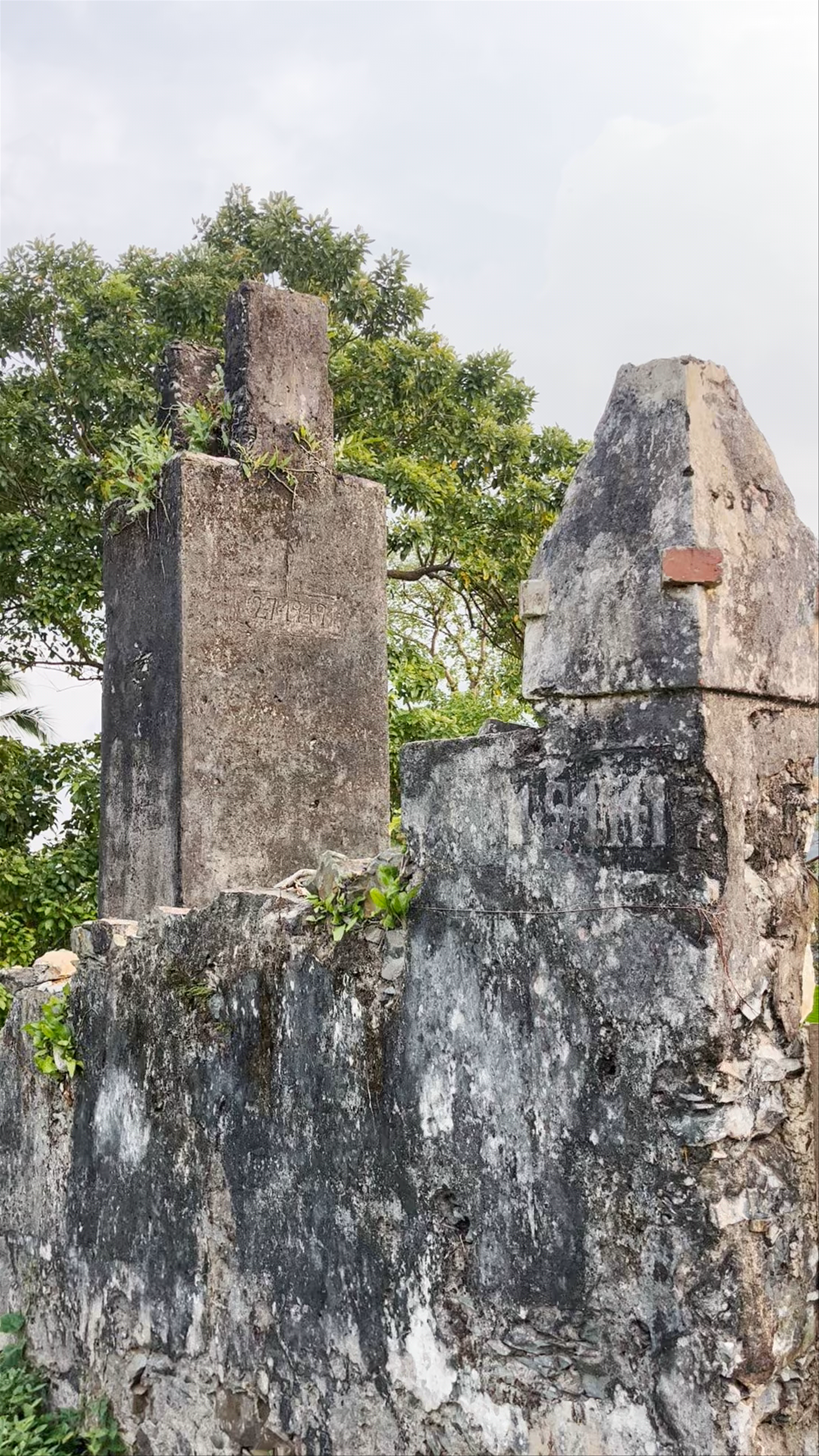 Roça do Terreiro Velho