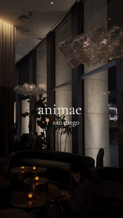 Animae