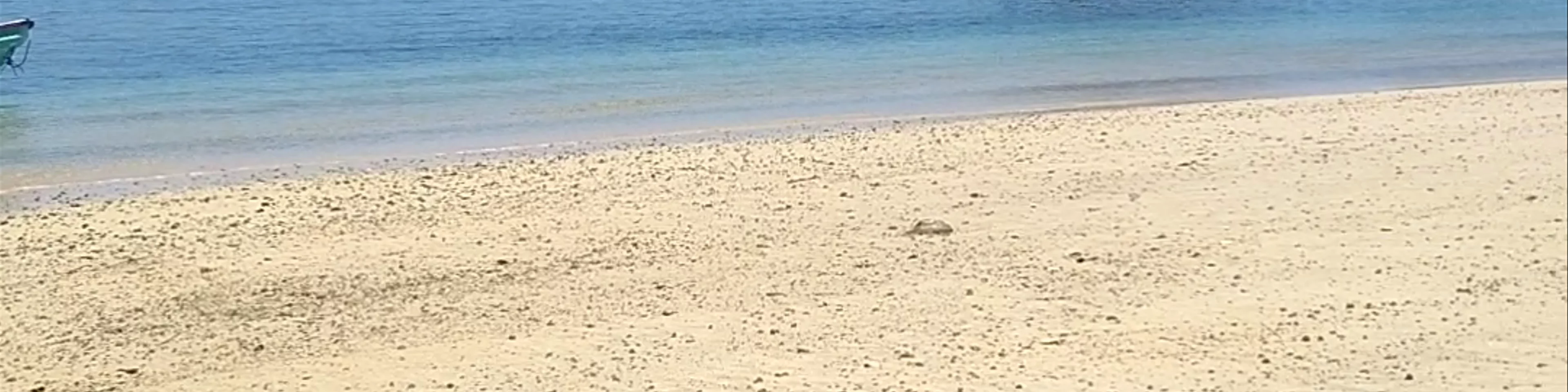 Isla Afuera
