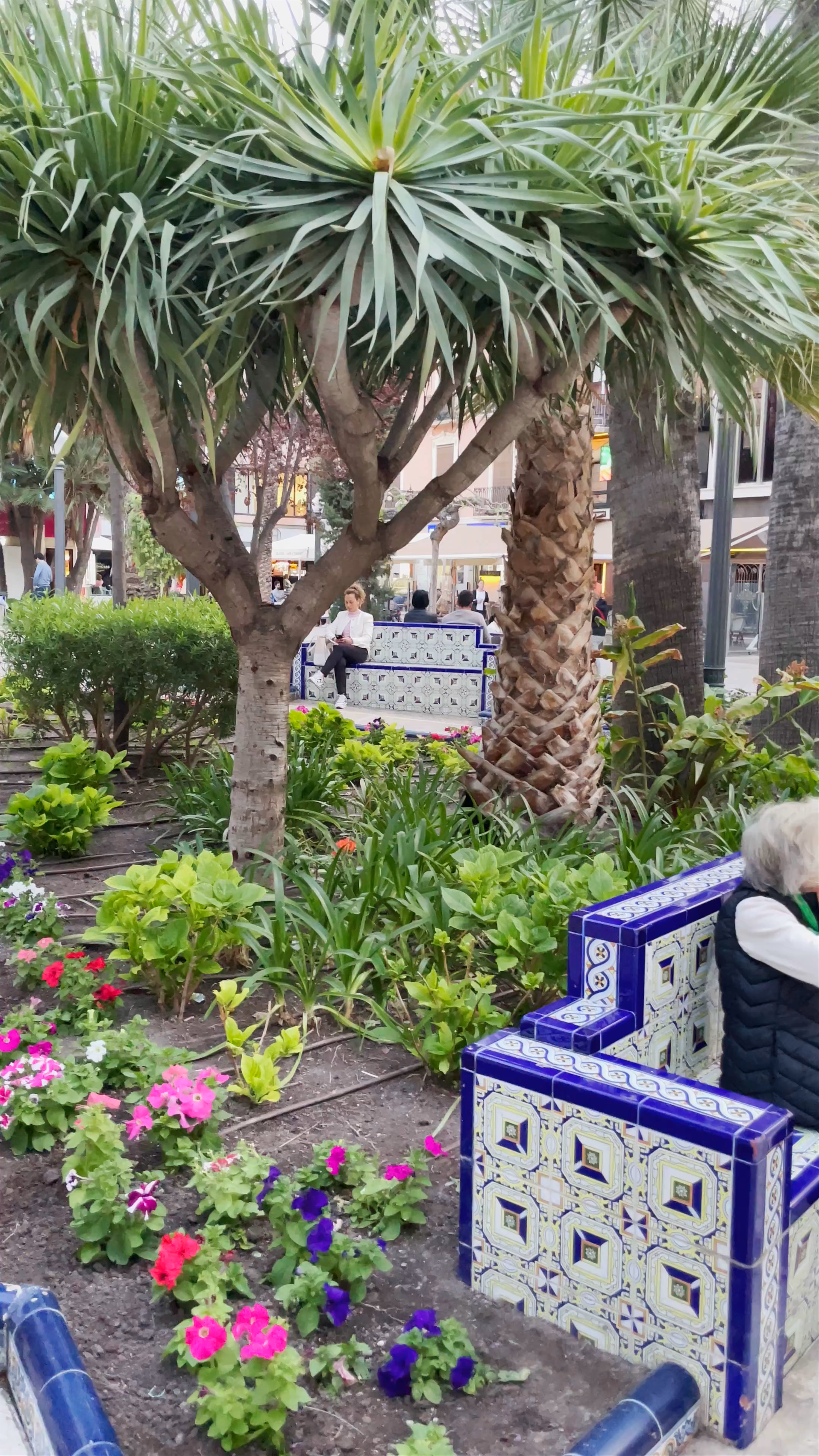 Serene Walk Through Plaza Glorieta in Elche, Spain