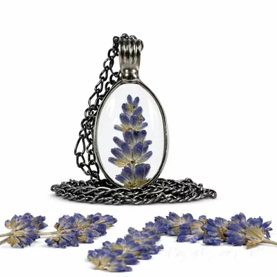 Preview image for video