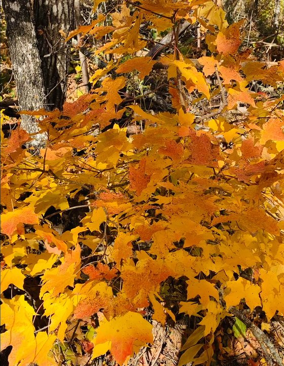 Savanna Portage State Park - Parks Near Me - McGregor, Minnesota