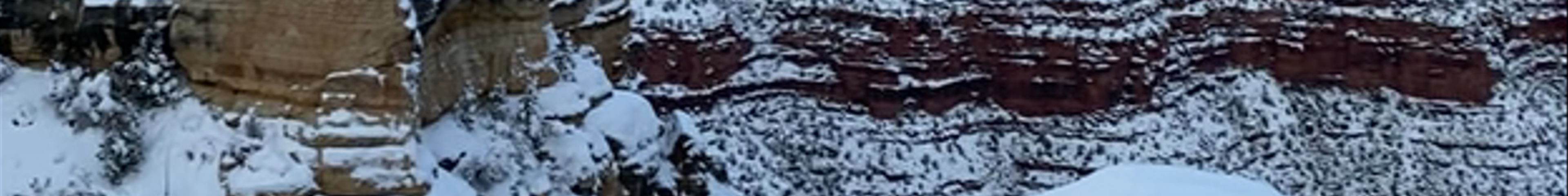 Tours & experiences in Grand Canyon