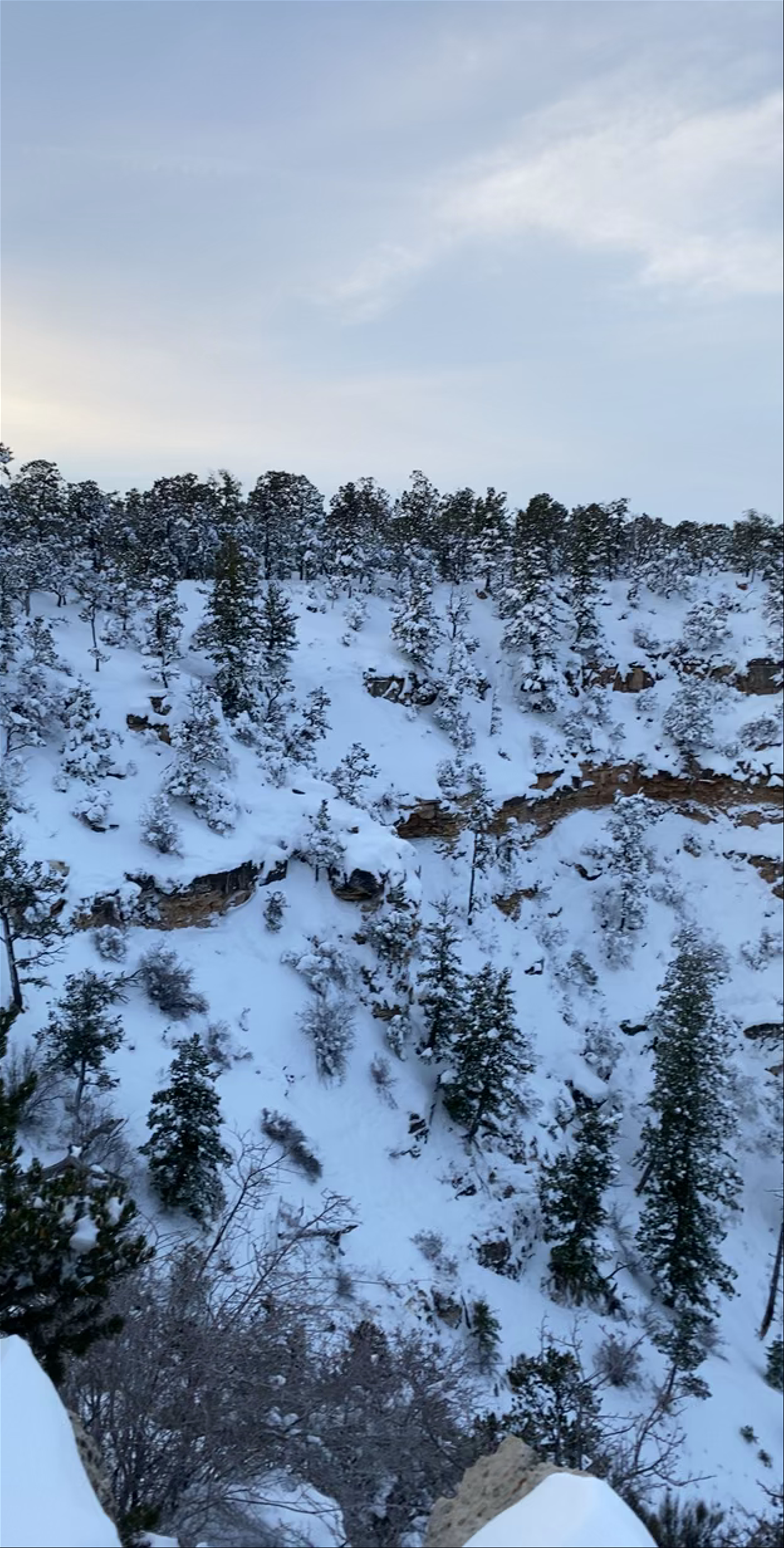 Snow-Covered Winter Views at Grand Canyon National Park