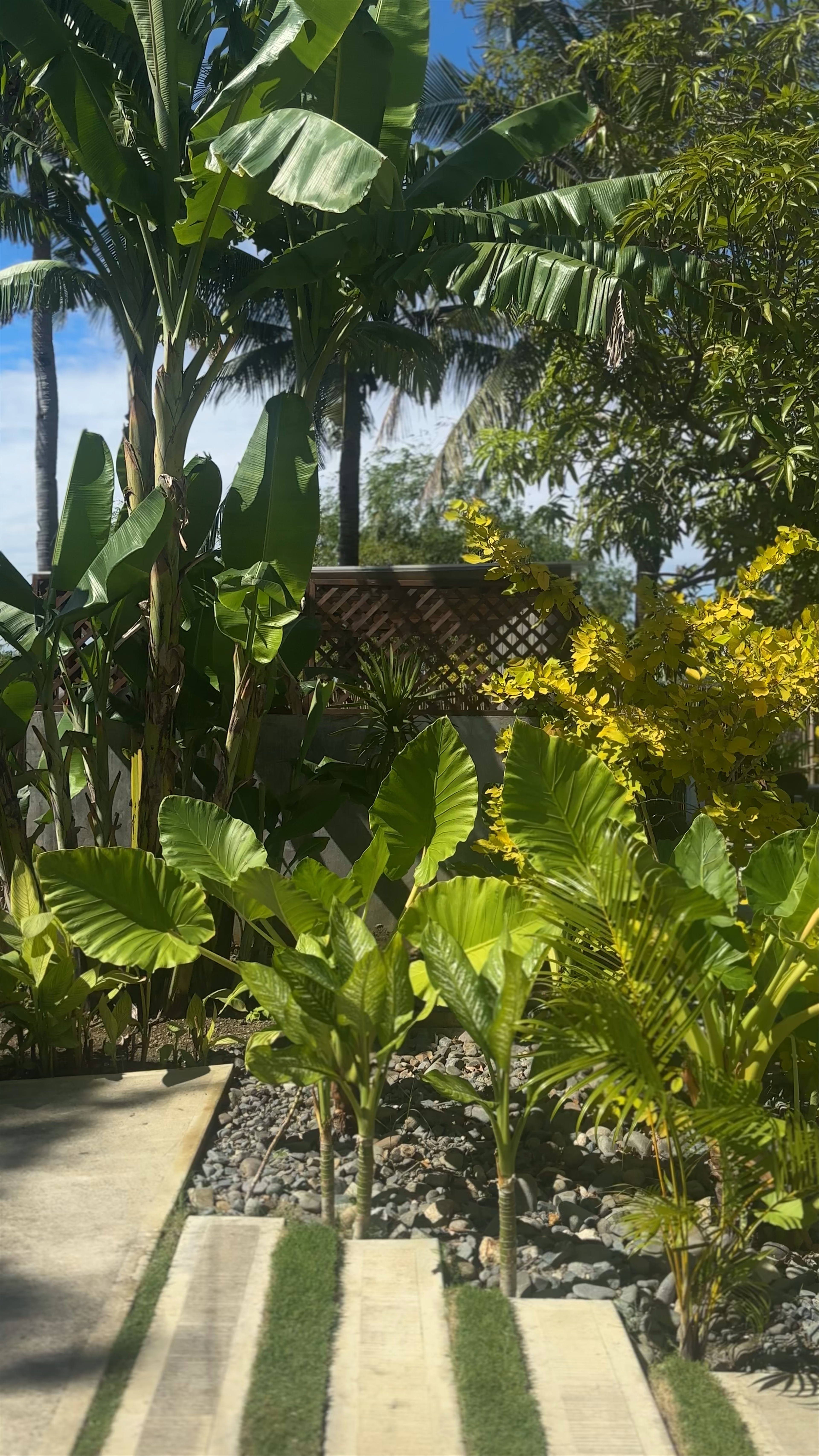 148 Guesthouse and Resort: Tropical Tranquility in Alaminos City, Philippines