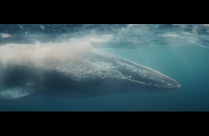 Pré-bande-annonce en français