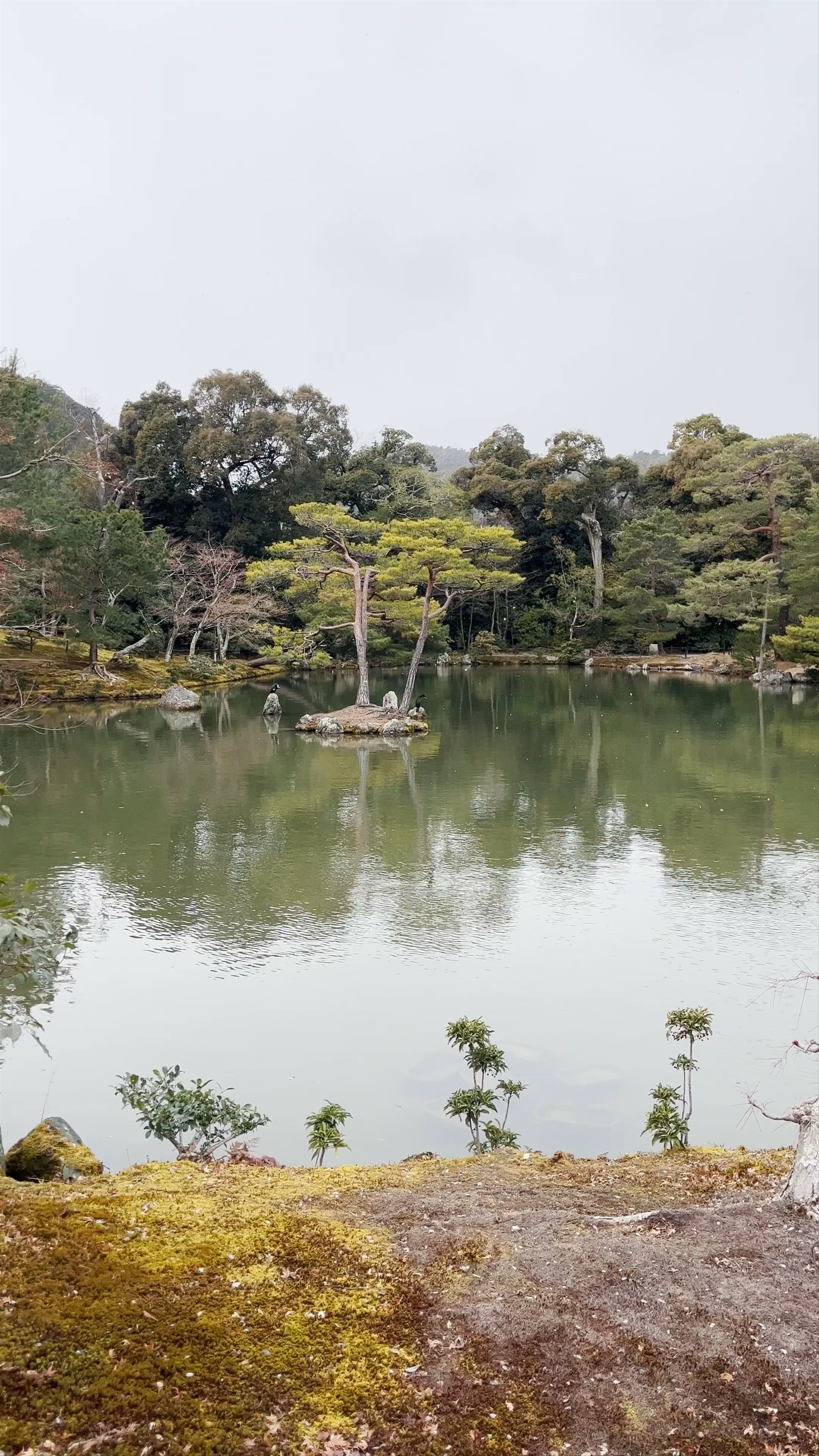 Kinkaku-ji